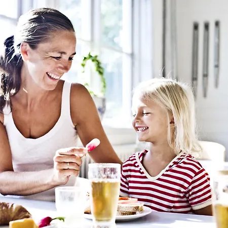 Vandrerhjem Danhostel Silkeborg